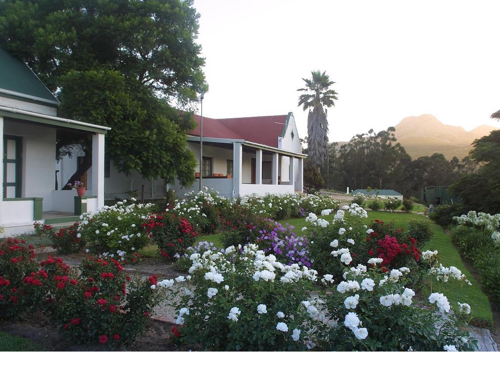 Over The Mountain Guest Farm George Exterior photo