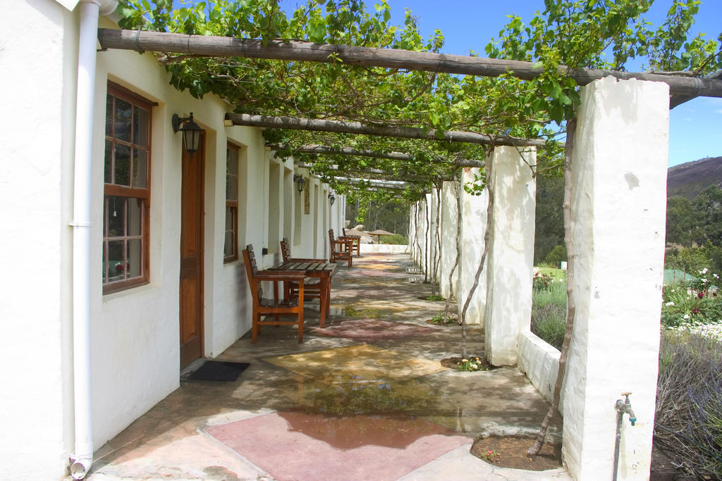 Over The Mountain Guest Farm George Exterior photo